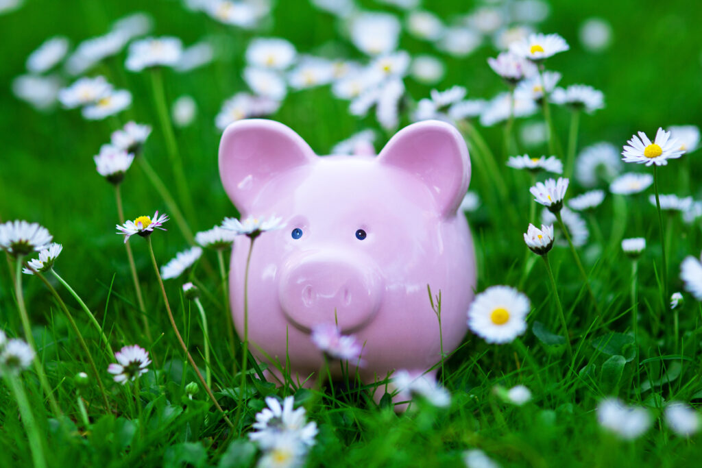 piggy bank in grass